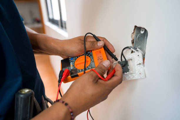 Best Electric Panel Repair  in Golden Meadow, LA